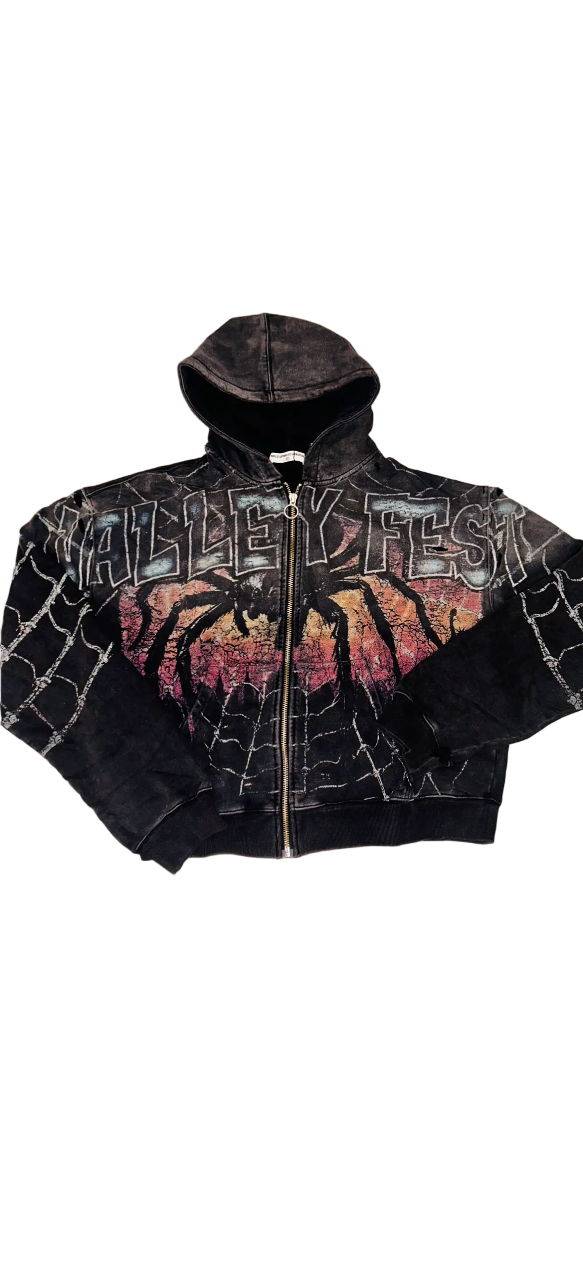 Valley Fest graphic hoodie